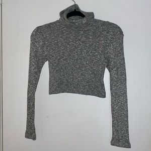 Crop Turtleneck